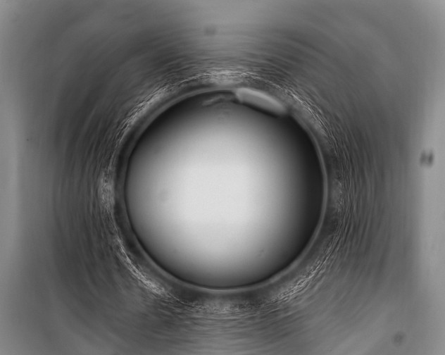 X0000101150530200806270945