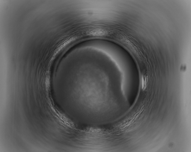 X0000101150531200806270945