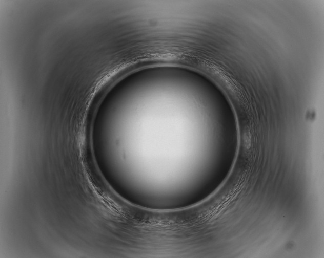 X0000101150532200806270945