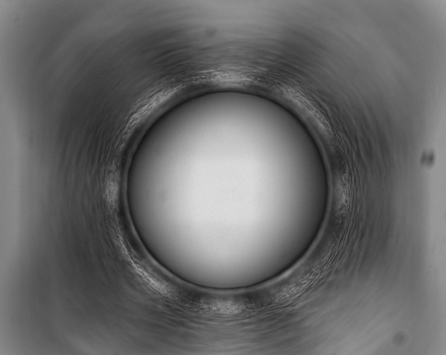 X0000101150533200806270945