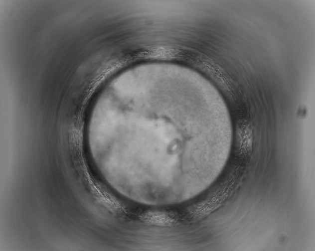X0000101150534200806270945