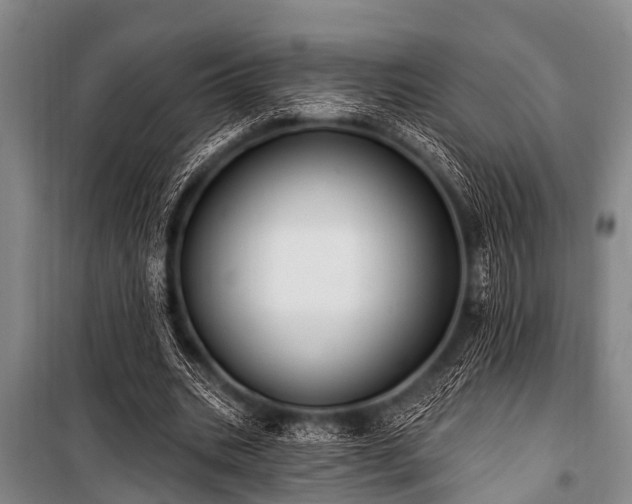 X0000101150535200806270945