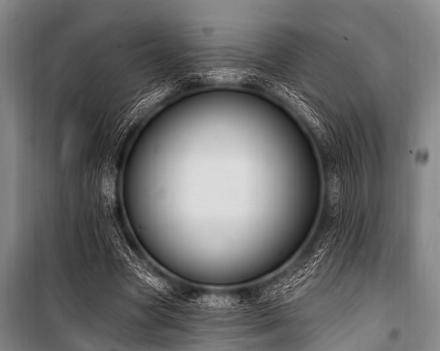 X0000101150537200806270945