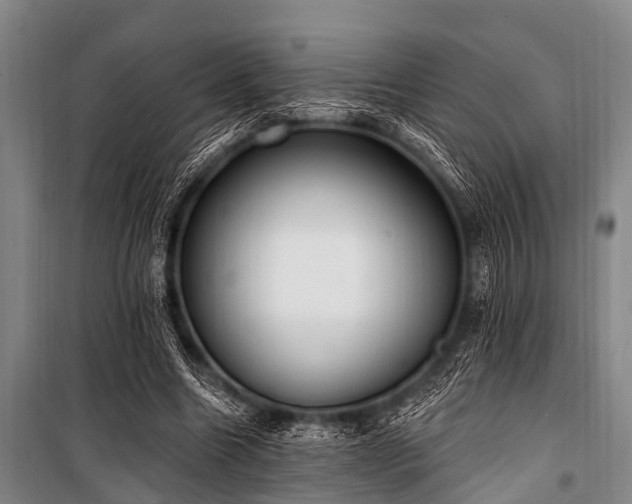 X0000101150538200806270945