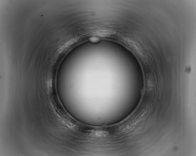X0000101150539200806270945