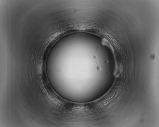 X0000101150540200806270945