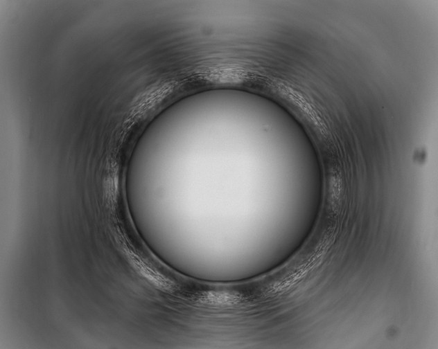 X0000101150541200806270945