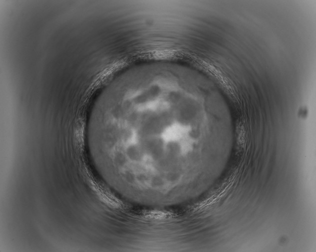X0000101150542200806270945
