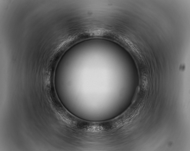 X0000101150543200806270945