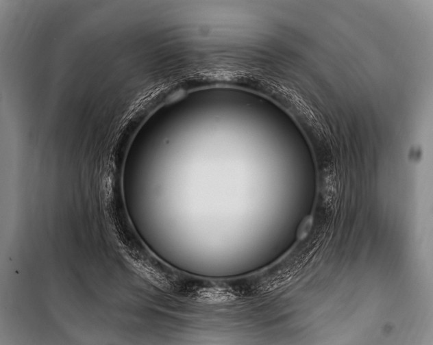 X0000101150544200806270945