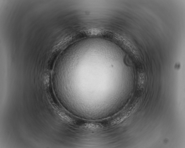 X0000101150545200806270945