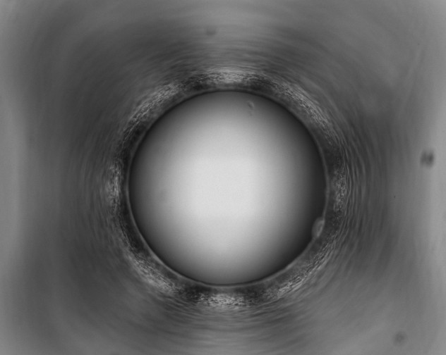 X0000101150546200806270945