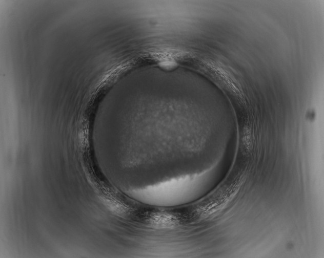 X0000101150547200806270946