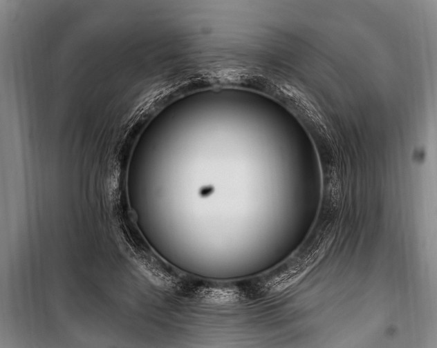 X0000101150548200806270946