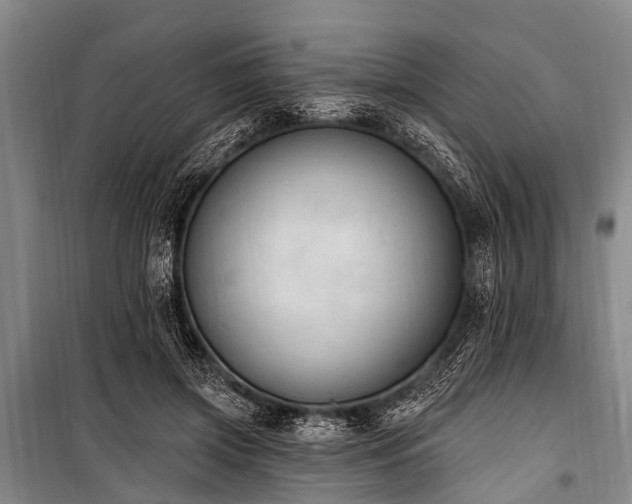 X0000101150549200806270946