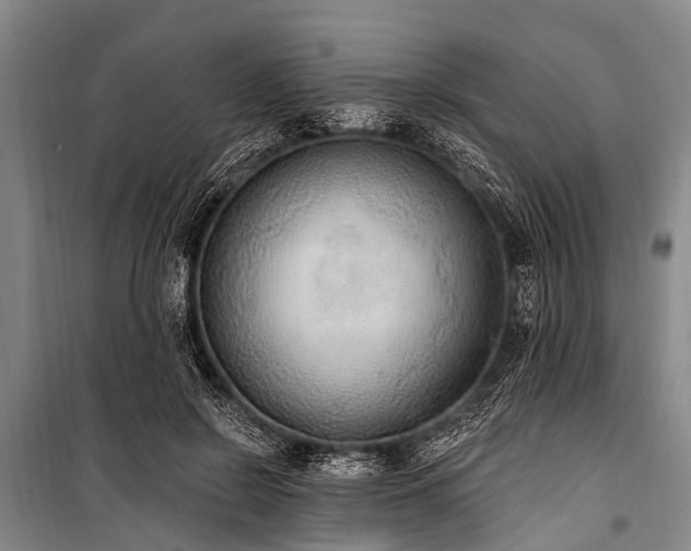 X0000101150550200806270946