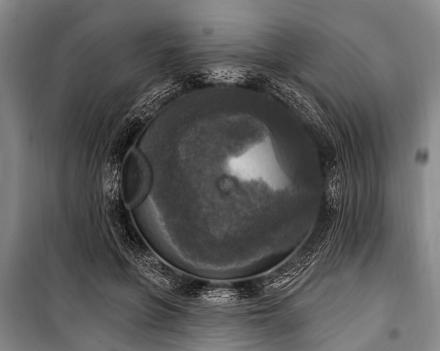X0000101150551200806270946