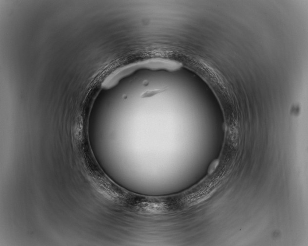 X0000101150552200806270946