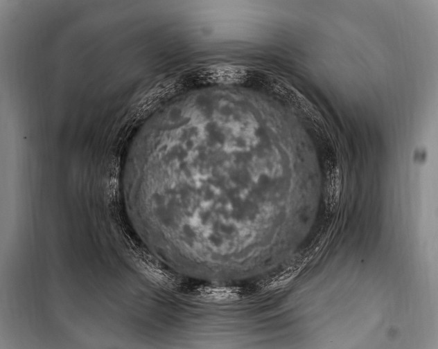 X0000101150553200806270946