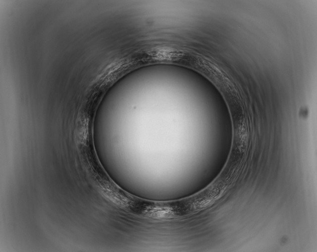 X0000101150554200806270946