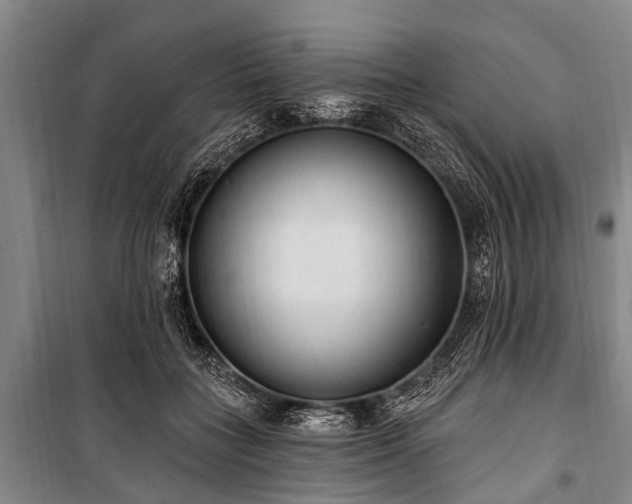 X0000101150555200806270946