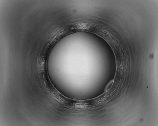 X0000101150556200806270946