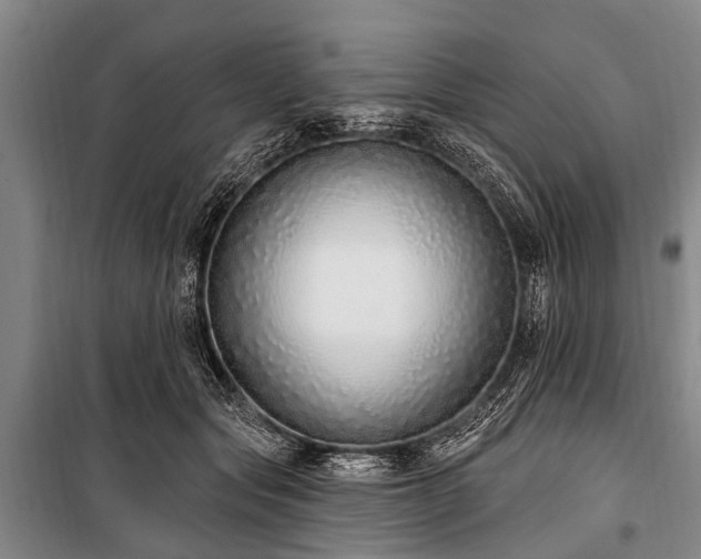 X0000101150557200806270946