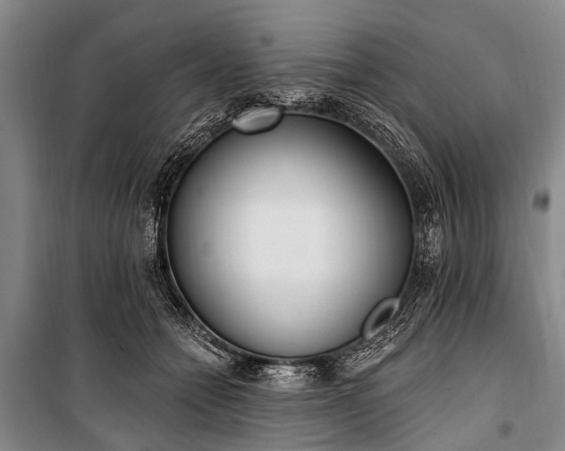 X0000101150558200806270946