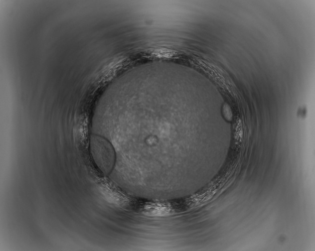 X0000101150559200806270946