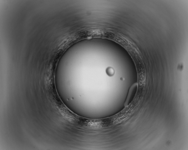 X0000101150560200806270946