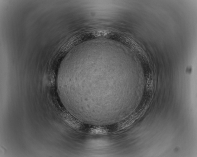 X0000101150561200806270946