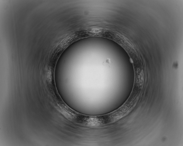 X0000101150562200806270946