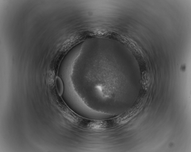X0000101150563200806270946