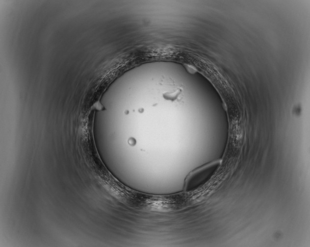 X0000101150564200806270946