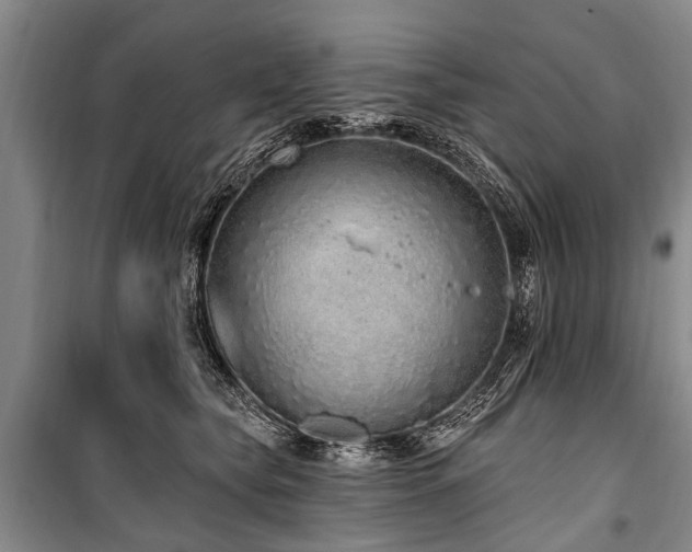 X0000101150565200806270946