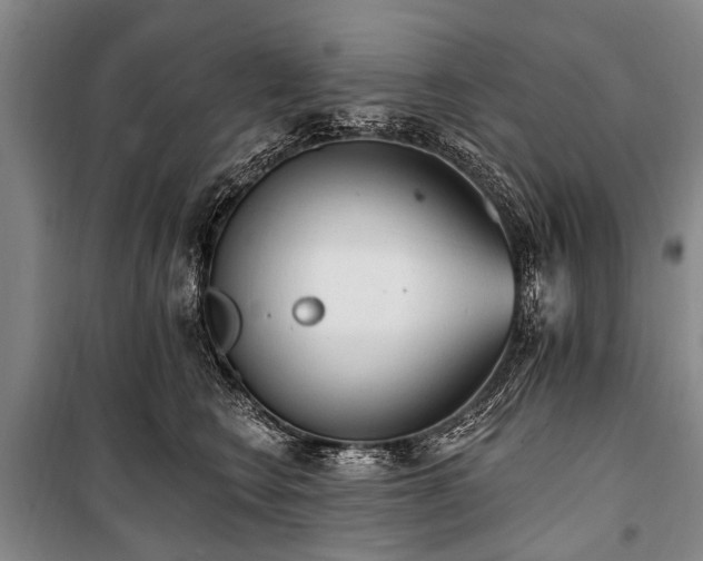 X0000101150566200806270946