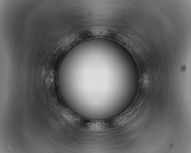 X0000101150567200806270946