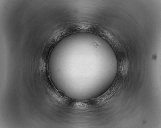 X0000101150568200806270946