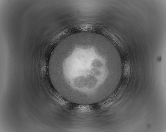X0000101150569200806270946