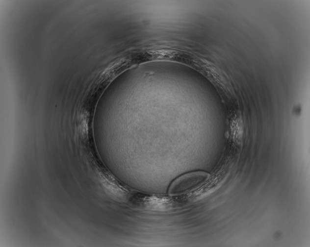 X0000101150570200806270946