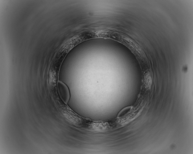 X0000101150571200806270946