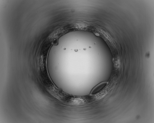 X0000101150572200806270946