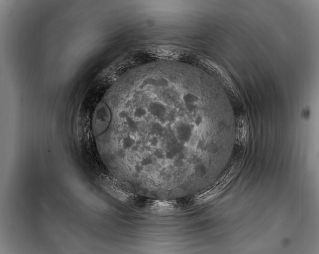 X0000101150573200806270946