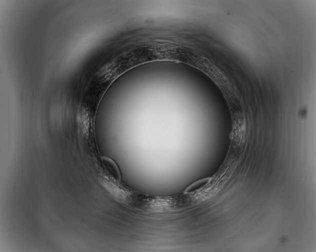 X0000101150574200806270946
