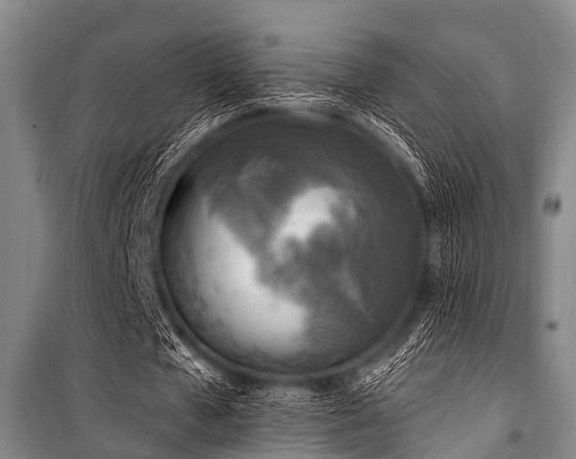 X0000101150577200806270945
