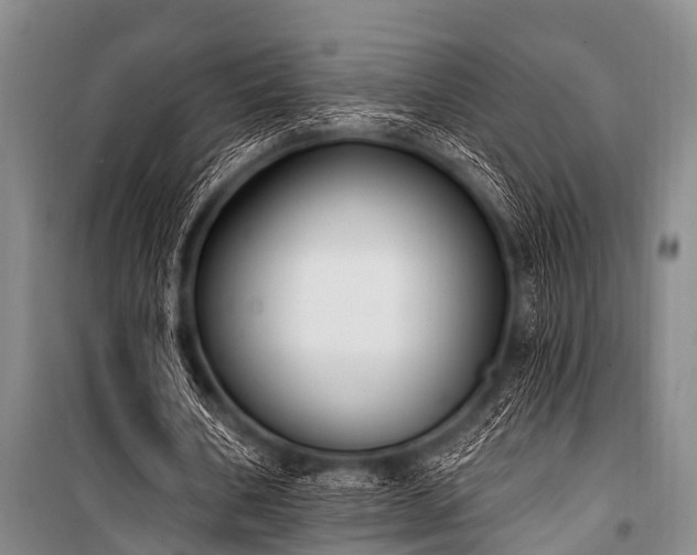 X0000101150578200806270945