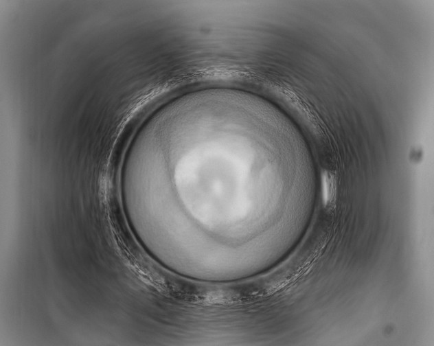 X0000101150579200806270945