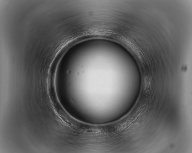 X0000101150580200806270945