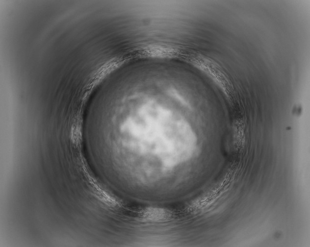 X0000101150581200806270945