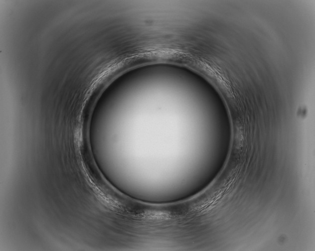 X0000101150582200806270945